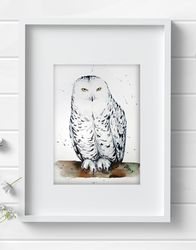 White owl bird 7x10 inch original painting the white - faced owl art by Anne Gorywine