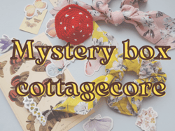 Mystery box cottegcore, stickers with mushrooms,a bag of crystals, cosplay accessories.