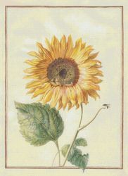 Cross Stitch Pattern | Sunflower  | 6 Sizes | PDF Counted Vintage Highly Detailed Stitch