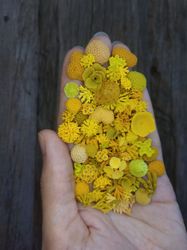 Set of miniature corals shades of yellow, tiny corals for diorama, resin art, display or dollhouse aquarium