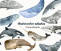 Watercolor Whales Clipart.