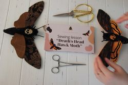 Sewing pattern Hawkmoth Deadhead moth