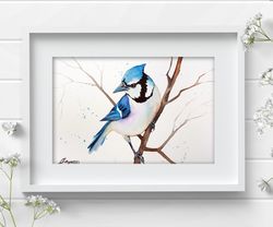 Blue Jay bird wall art, Watercolor birds, original watercolor painting, bird home art, discount by Anne Gorywine