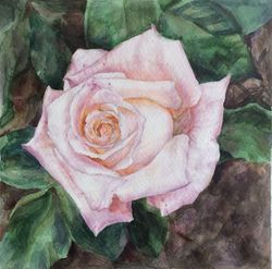 "Violet Rose" Flower Original Wall Art Painting Watercolor Artwork, 17x17cm.