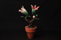 Monster flower in a small pot, Toothy, Demogorgon