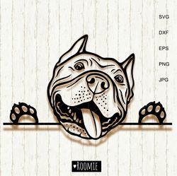 American Pit Bull Terrier Peeking Dog SVG, Pitbull Lover Gift Mom Dad Card Shirt Cameo Cut file Cricut Vinyl Laser /35