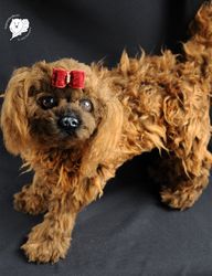 realistic toy dog poodle Chapa