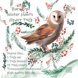 Barn owl winter Christmas bouquets of needles rowan berries, hawthorn green menthol digital clipart