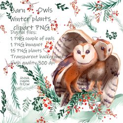 A couple of barn owls winter Christmas bouquets of needles rowan berries, hawthorn green menthol digital clipart