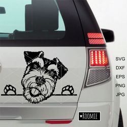 Miniature Schnauzer SVG, Scott Terrier, Peeking Dog Shirt Design Car Decal Clipart Vector Cut file Cricut Vinyl /53