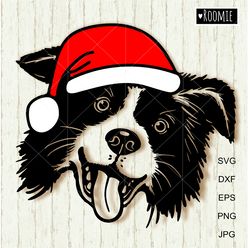 Border Collie With Christmas Santa Hat Svg, New Years dog Shirt Design, Car Decal Clipart Cut file /186