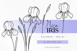 Iris Birth Month Flower SVG files, February Birthday Flowers for Instant Download
