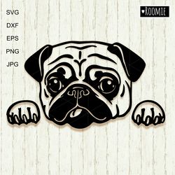 Peeking Pug Dog Svg Clipart For Cricut, Pet Portrait, Love Pugs Shirt Design Car Decal Vector Cut file Cricut Vinyl /118