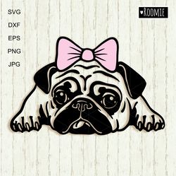 Cute Pug Dog Girl With Bow Shirt Design Svg Clipart For Cricut, Pet Portrait, Decal Vector Cut file Cricut Vinyl /119