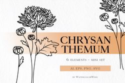 Chrysanthemum Birth Month Flower SVG files November Birthday Flower Clipart For Instant Download