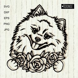 Pomeranian Spitz With Flowers Svg, Peeking dog Pom Shirt Design Car Decal Clipart Vector Cut file Cricut Vinyl /121