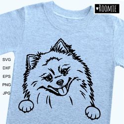 Pomeranian Spitz Shirt Design Svg, Peeking dog Pom Car Decal Clipart Vector Cut file Cricut Vinyl /124