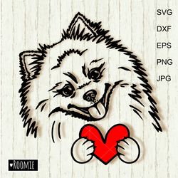 Pomeranian Spitz With Valentine Heart Svg, Dog Pom Shirt Design Car Decal Clipart Vector Cut file Cricut Vinyl /130