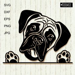 Boxer Svg, Peeking dog Boxer Shirt Design, Car Decal Clipart Vector Cut file Cricut Vinyl /131