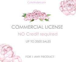 Commercial license for small Business