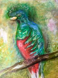 Quetzal bird painting