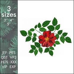 Rose Embroidery design, romantic roses red flowers , 3 sizes
