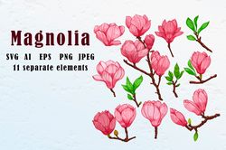 Blooming magnolia clipart
