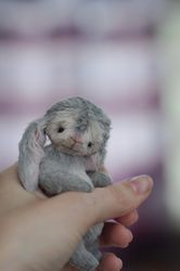 Miniature teddy bunny cute grey