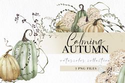 Fall pumpkin clipart with wildflower png illustrations in neutral colors for instant download