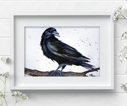 Crow 8x11 inch original watercolor raven art black bird aquarelle painting by Anne Gorywine
