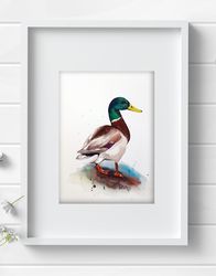 Drake original watercolor 7x10 inch bird painting art by Anne Gorywine