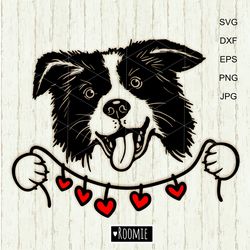 Border Collie With Valentine Hearts Svg For Cricut, Love dogs Shirt Design Decal Cut file Cricut /110