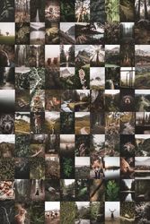 100 PCS Nature Wall Collage Kit DIGITAL DOWNLOAD | Green Aesthetic Photo Collage Kit | Photo Wall Collage Set 4x6 Size