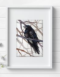 Crow 8x11 inch original watercolor raven art black bird raven 2 painting by Anne Gorywine