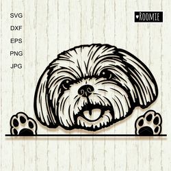Shih Tzu svg for Cricut, Peeking dog, Shih Tzu Shirt Design, Car Decal Clipart Vector Cut file Vinyl /139