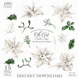 Merry Christmas White Poinsettia Digital Clip Art. White Poinsettia, Hand Drawn Graphics. OliArtStudioShop