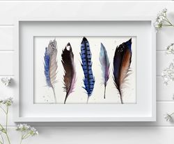 Bird feathers 8x11 inch original watercolor art painting by Anne Gorywine