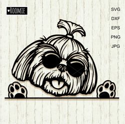 Cute Shih Tzu with Sunglasses svg for Cricut, Peeking dog, Shirt design Car Decal Clipart Vector Cut file Vinyl /149