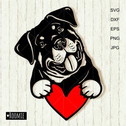 Rottweiler with heart svg Shirt Design for Cricut, Love Rottie, Car Decal Clipart Vector Cut file Vinyl /158