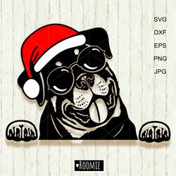 Christmas Rottweiler with Santa hat and sunglasses svg, Rottie Shirt Design Decal Clipart Vector Cut file Vinyl /203