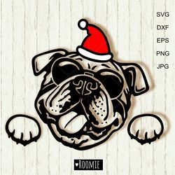 Christmas bulldog with Santa hat and sunglasses svg, English bulldog Shirt design, Car Decal Clipart Cut file Vinyl /204