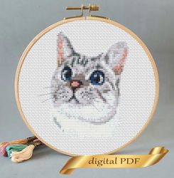 Cat pattern pdf cross stitch, pets embroidery DIY