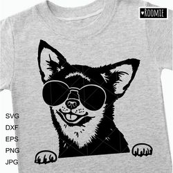 Chihuahua With Sunglasses Shirt Design SVG, Dog Portrait Laser Cut file Vinyl Sublimation Car Decal Clipart Cricut /179