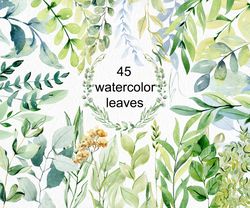 Watercolor Leaves Clipart.