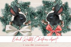 Black rabbit PNG. Christmas clipart. Bunny PNG clipart