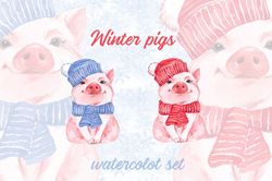 Pigs PNG clipart. Winter animal PNG clipart