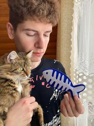 Fish cat toy