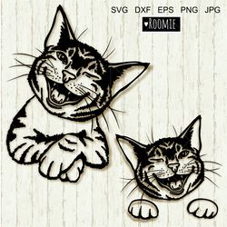 Funny Cat Portrait SVG Cricut, Peeking Cats clipart, Kitty, Cat Mom Shirt Design Vinyl Cameo Silhouette Papercut