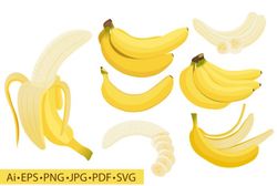 Banana fruit PNG, Banana fruit clip art, Banana fruit Sublimation, Instant Download, Digital Download,
