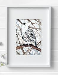 White owl bird 8x11 inch original painting the white - faced owl art by Anne Gorywine
